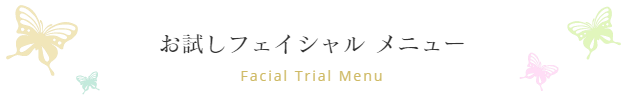 お試しフェイシャルメニュー